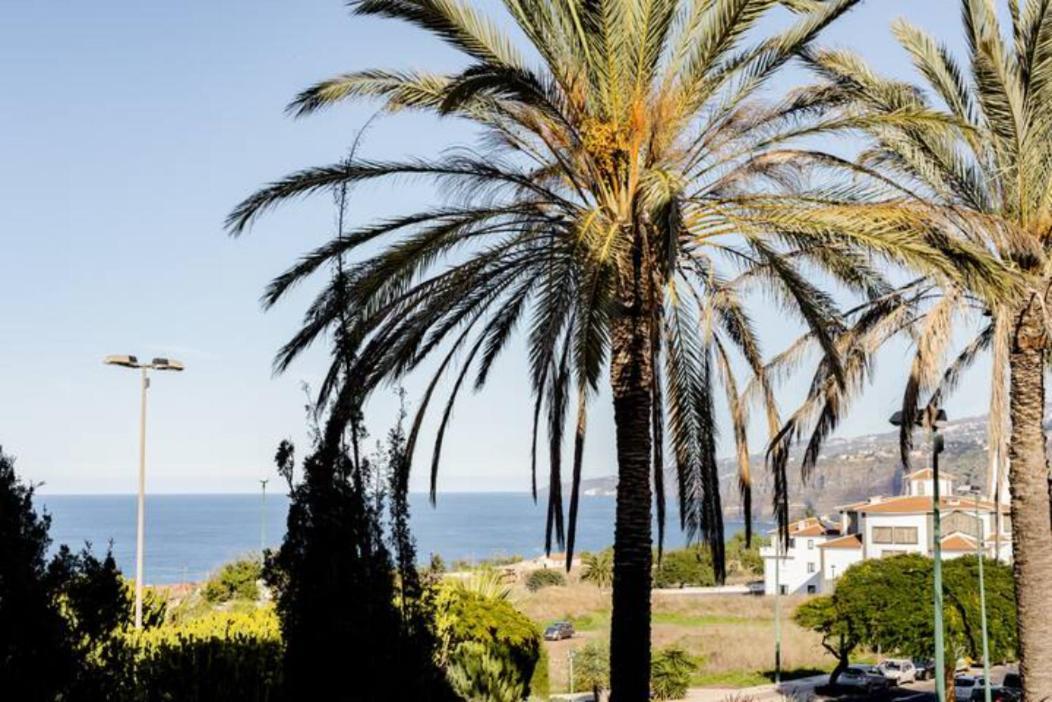 New Apartment Sherezade Tenerife بويرتو ذي لا كروز المظهر الخارجي الصورة
